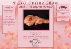 PEXO Online Show